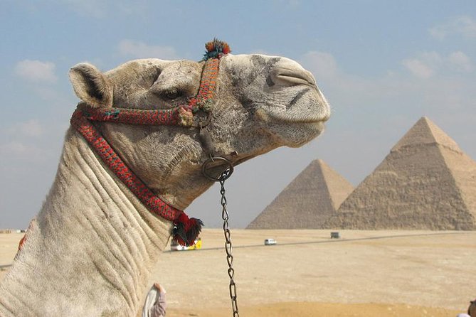 Private Journey :Grand Egyptian Museum & Giza Pyramids - The Giza Plateau and the three royal pyramids