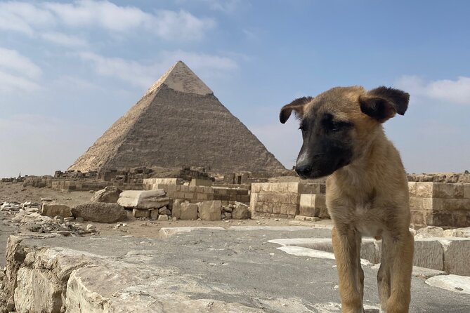 Private Tour Giza Pyramids, Egyptian Museum, Bazar And Lunch - Two hours at the Egyptian Museum