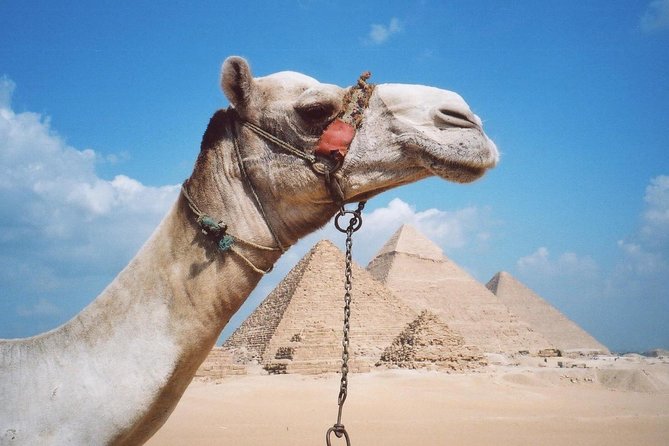 Private Tour: Giza Pyramids, Sphinx, Memphis, Sakkara - Should you book this private Giza, Saqqara, and Memphis tour?