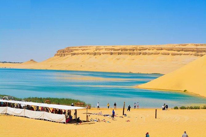 Private Tour To Fayoum Oasis, Valley Of The whales & Wadi Al Rian From Cairo. - The Valley of the Whales and its fossil story