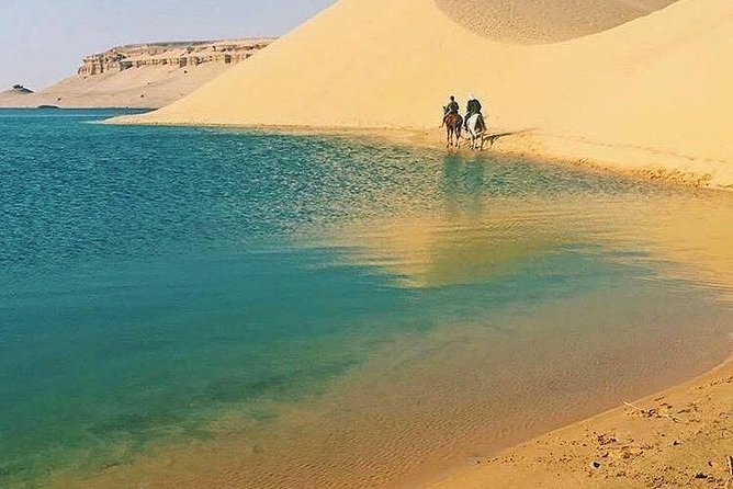 Private Tour To Fayoum Oasis, Valley Of The whales & Wadi Al Rian From Cairo. - What the private format changes