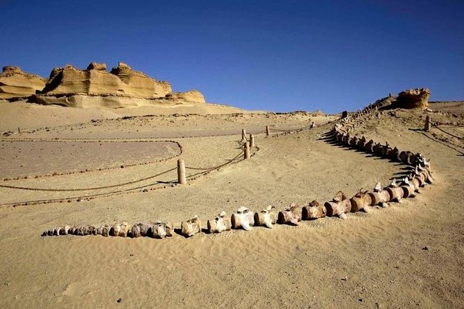 Private Tour To Fayoum Oasis, Valley Of The whales & Wadi Al Rian From Cairo. - Is $220 per person good value?