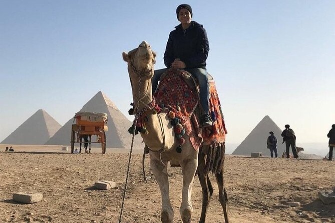 Private Tour to Giza pyramids & Grand Museum from Alexandria Port - The Sphinx and its royal face