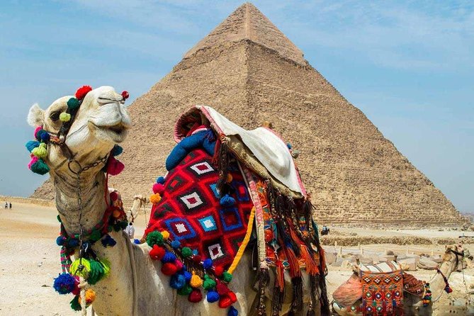 Private tour to Giza Pyramids, Sphinx and Egyptian museum - Lunch and optional extras
