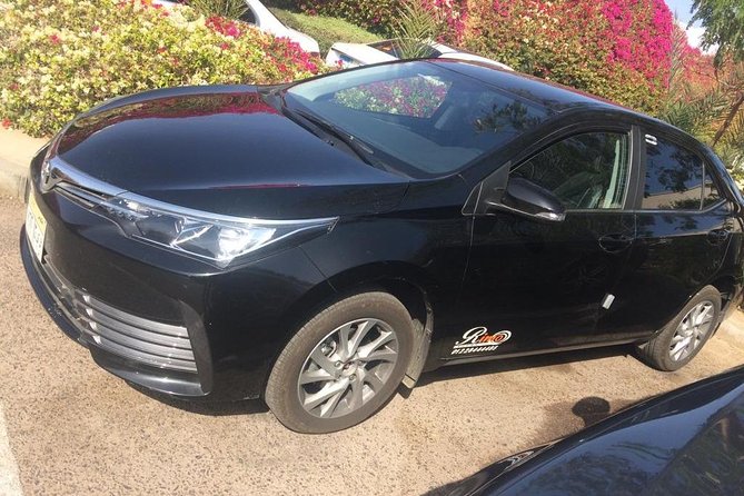 Private Transfer from Cairo Airport - Who should book this transfer?