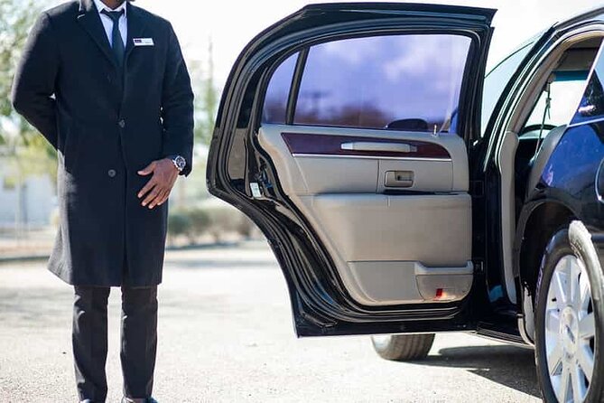 Private Transfers to/from Cairo Airport & Hotels in Cairo & Giza - Why driver Mohamed gets special mention