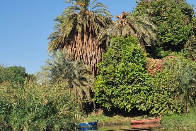 Private Trip to Nubian Village and Felucca Ride in Aswan - Why Omar Kashy makes a difference