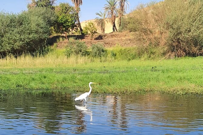 Private Trip to Nubian Village and Felucca Ride in Aswan - What the $40 price covers