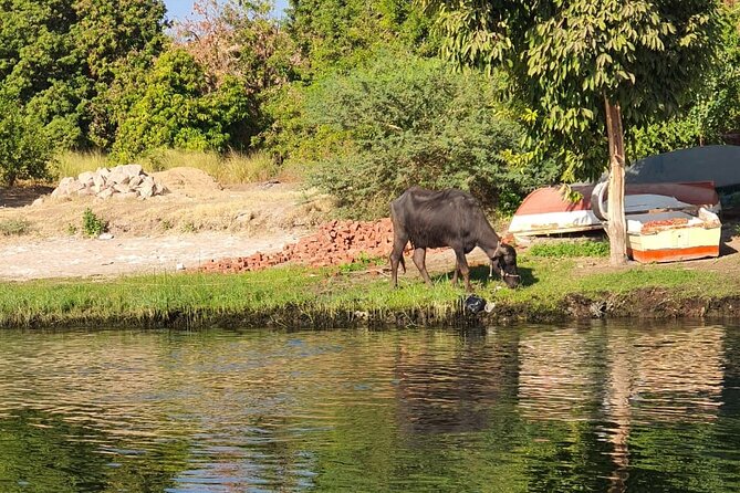 Private Trip to Nubian Village and Felucca Ride in Aswan - Who will enjoy this Aswan outing most