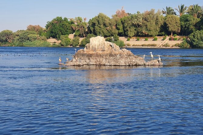 Private Trip to Nubian Village and Felucca Ride in Aswan - The strongest reasons to book