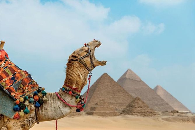 Private ViP all-inclusive Giza Pyramids,Sphinx,Inside Pyramid - Lunch and the return to Cairo