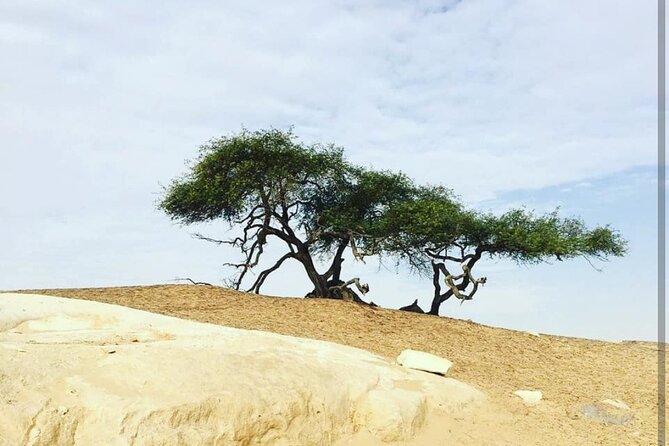 Private White Desert tour one Full day from Cairo - What the $149 price really buys