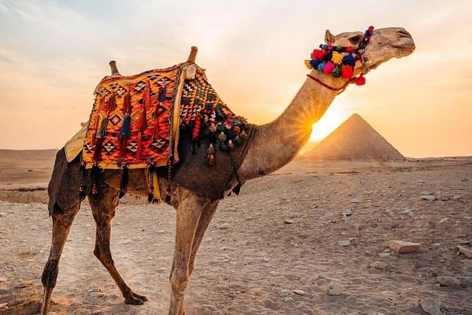 Pyramids camel ride - Key points at a glance