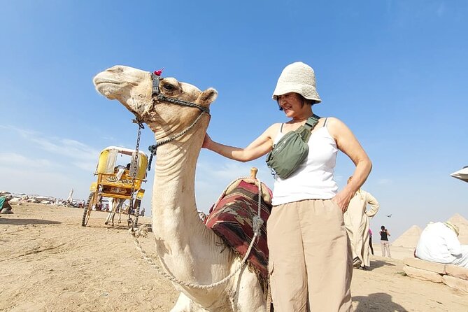 Pyramids of Giza , Memphis , Saqqara , Lunch Guided Private Trip - Guides, explanations, and the human side of the day