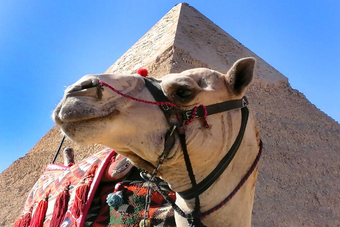 Pyramids of Giza & Saqqara complex - Saqqara and the Step Pyramid of Djoser