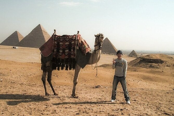Pyramids of Giza, Sphinx and Egyptian Museum Day Tour - Who should book this day