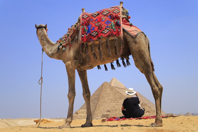 Pyramids of Giza, Sphinx and Egyptian Museum Day Tour - Facing the Great Sphinx