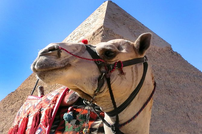 Pyramids of Giza, the Sphinx, the Egyptian Museum. - Price, transport, and what the $160 covers