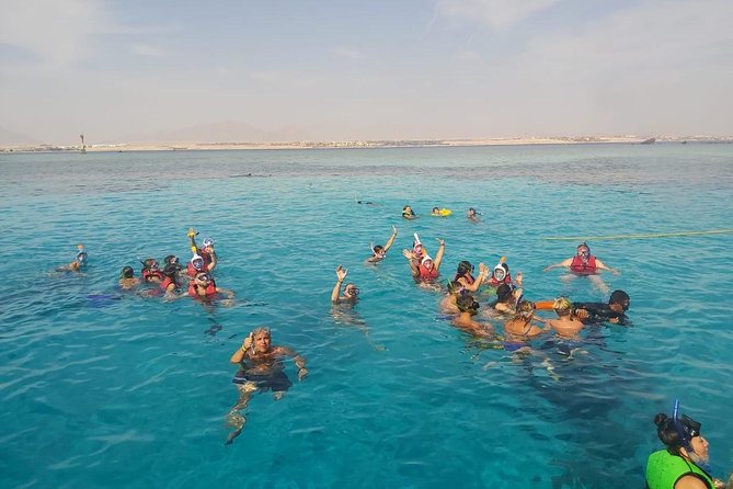 Ras Mohamed & White Island Experience Sharm El Sheikh - Who will get the most from this trip