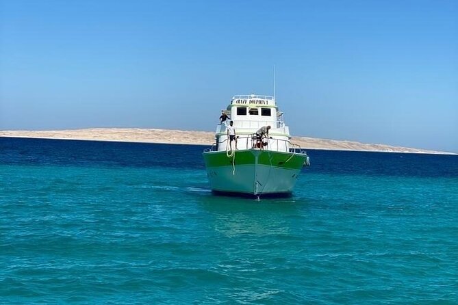 Red Sea Diving Trip from Hurghada: Beginner to Advanced Divers - What beginners can expect beneath the surface