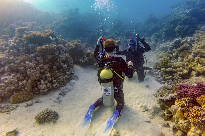 Red Sea Diving Trip from Hurghada: Beginner to Advanced Divers - Who will get the most from this Hurghada outing