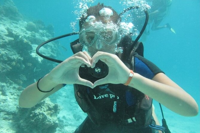 Red Sea Diving Trip from Hurghada: Beginner to Advanced Divers - What experienced participants should know