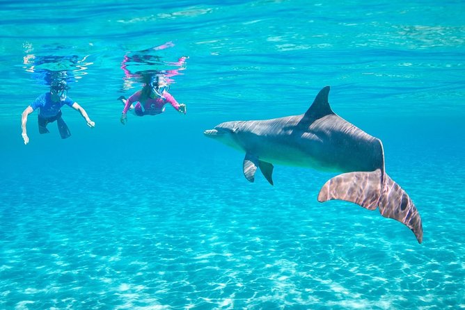 ROYAL Dolphin House & Water Sports Snorkeling Sea Trip - Hurghada - Key points to know before booking