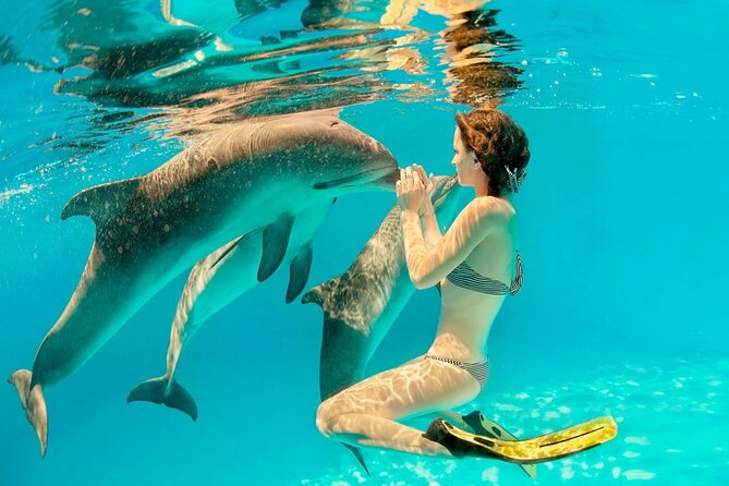 ROYAL Dolphin House & Water Sports Snorkeling Sea Trip - Hurghada - Snorkeling above coral and fish