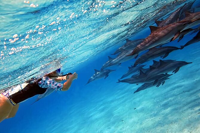 Sataya Dolphin House Snorkel Trip - Marsa Alam - Lunch onboard with the reef still around you