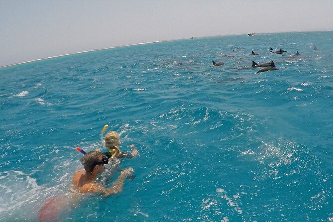 Sataya Dolphin House Snorkel Trip - Marsa Alam - The second stop: coral, fish, and clear water
