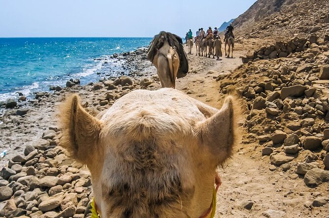 Sharm El Sheikh: Colored Canyon Jeep Tour with Blue Hole & Dahab - Why this day trip works
