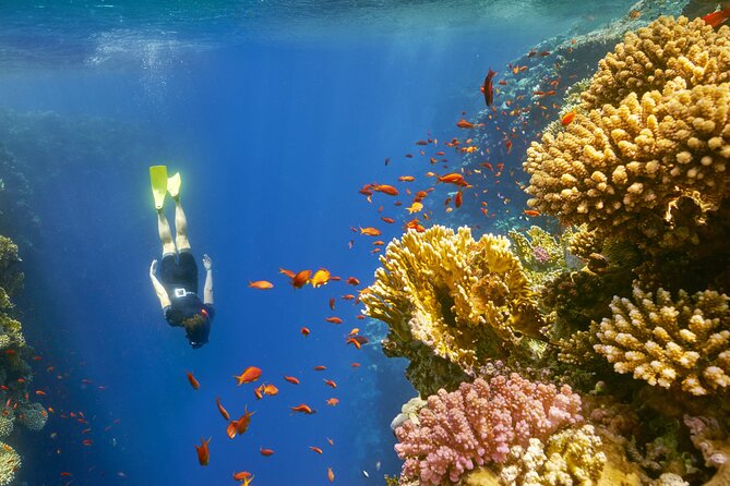 Sharm El Sheikh: Colored Canyon Jeep Tour with Blue Hole & Dahab - Blue Hole snorkeling and the Red Sea stop