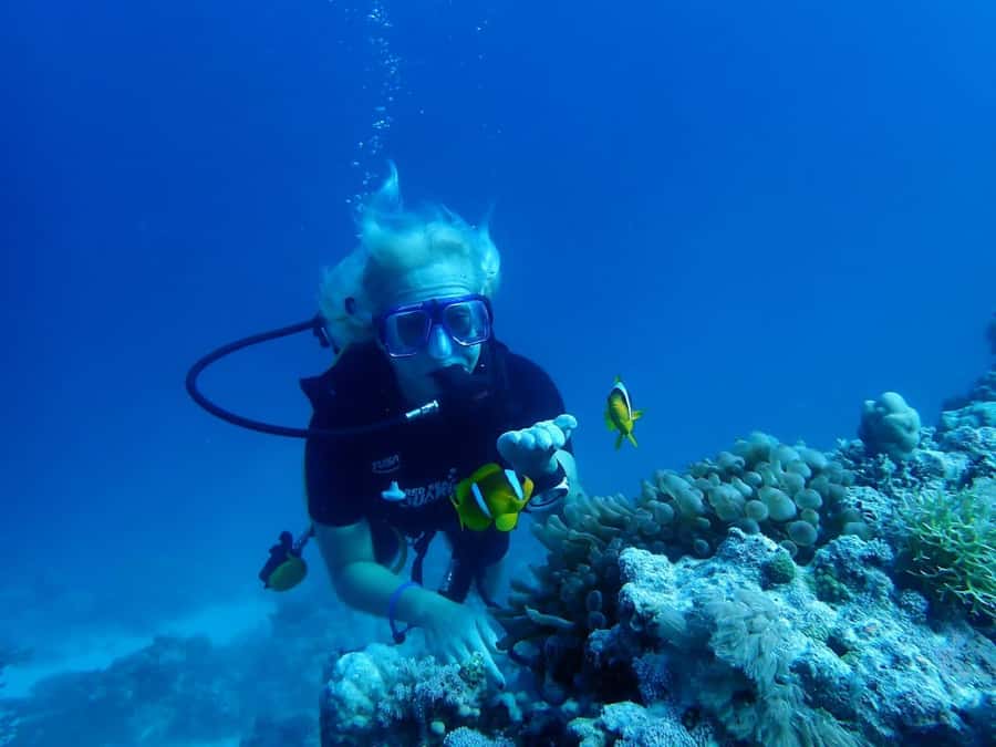 Sharm El Sheikh: Day sail to White island and Ras Mohamed - Key points to know before booking