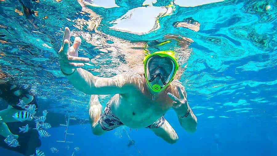 Sharm El Sheikh: Day sail to White island and Ras Mohamed - Timing, transport, and extra costs