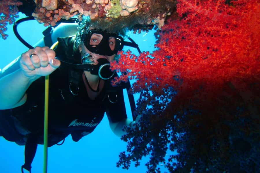 Sharm El Sheikh: Day sail to White island and Ras Mohamed - White Island, with the tide in charge