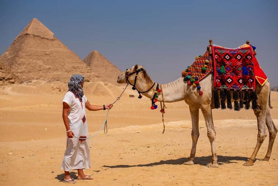 Sharm El-Sheikh: Full-Day Tour of Cairo and Pyramids by Bus - Who will enjoy this tour most?