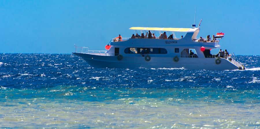 Sharm El Sheikh: Glass Bottom Boat Tour & Private Transfer - How to Make the Morning Go Better