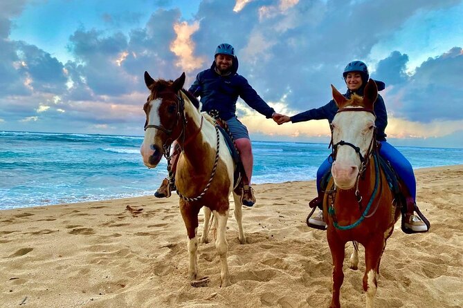 Sharm El Sheikh Horseback Riding with Pickup and Drop-off - Key points to know before booking