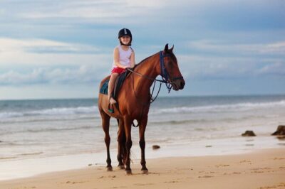Sharm El Sheikh Horseback Riding with Pickup and Drop-off