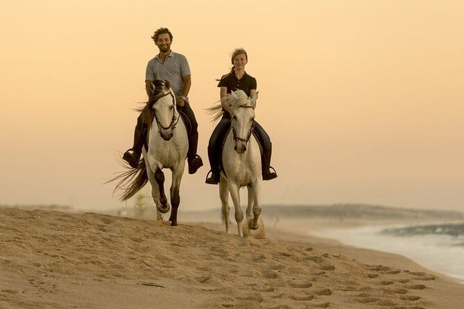 Sharm El Sheikh Horseback Riding with Pickup and Drop-off - Is $8.16 a good value?