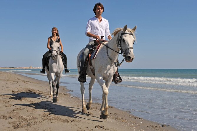 Sharm El Sheikh Horseback Riding with Pickup and Drop-off - Who will enjoy this ride most?