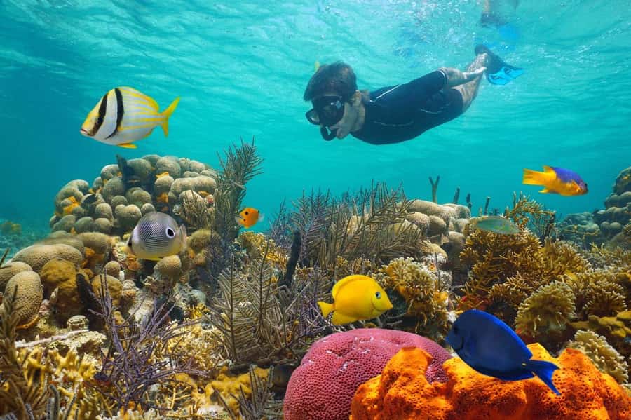 Sharm El Sheikh: Luxury boat Cruise with Snorkeling & Lunch - First water stop: guided snorkeling at Ras Muhammad