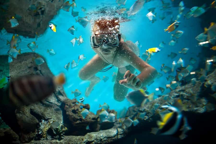 Sharm El Sheikh: Luxury boat Cruise with Snorkeling & Lunch - The second swim and optional scuba sessions