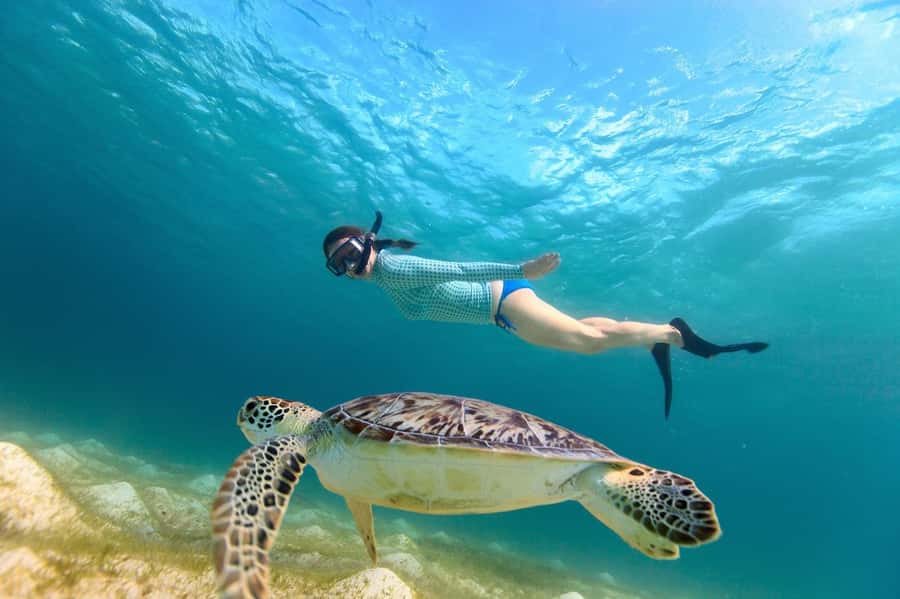 Sharm El Sheikh: Luxury boat Cruise with Snorkeling & Lunch - Who should book this Red Sea day trip