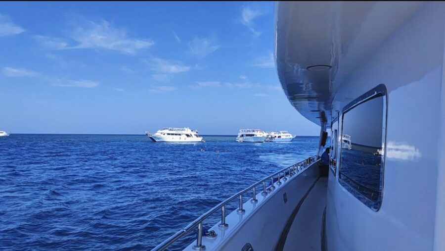 Sharm El-Sheikh: Luxury Ras Mohammed & White Island Cruise - Guides, languages, and the human side of the trip