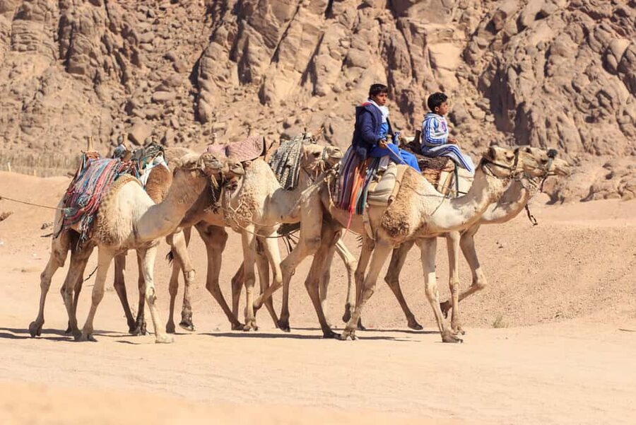 Sharm El-Sheikh: Morning Desert ATV Quad or Buggy Adventure - Who will enjoy this morning most