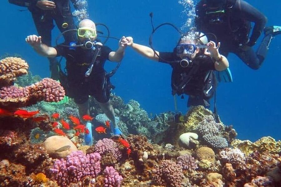 Sharm El-Sheikh: Parasailing, Camel Ride, Dive & Quad Bike - Key points at a glance