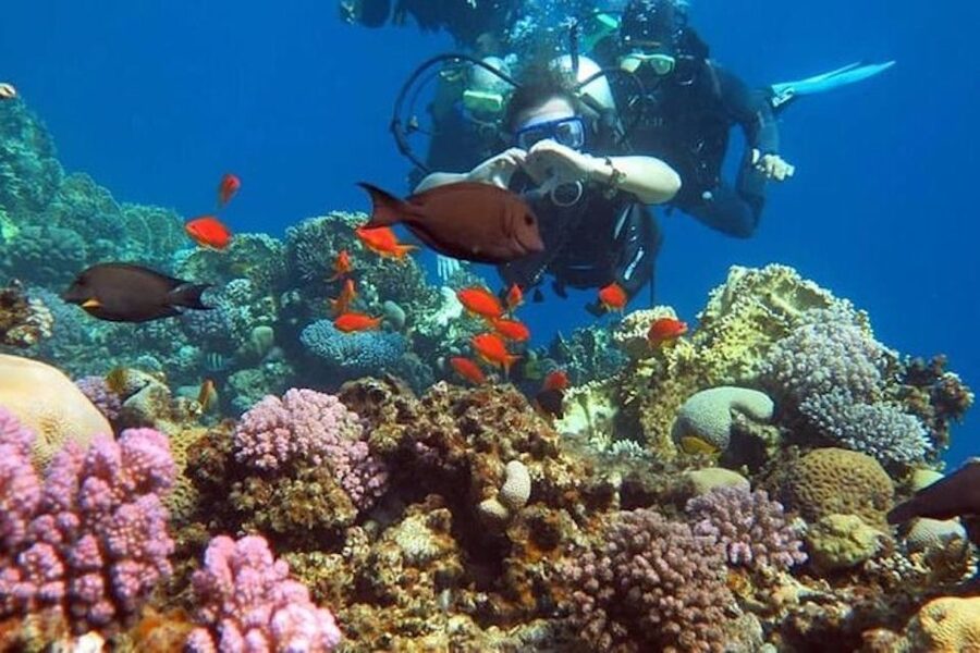 Sharm El-Sheikh: Parasailing, Camel Ride, Dive & Quad Bike - Practical preparation before pickup