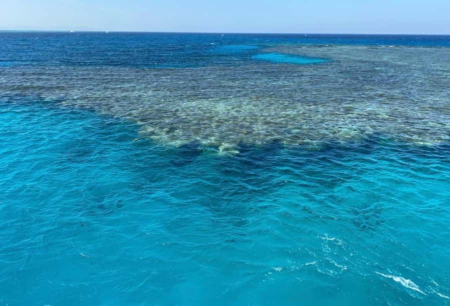 Sharm el-Sheikh: Premium Ras Mohammed & White Island Cruise - White Island, the photogenic middle stop