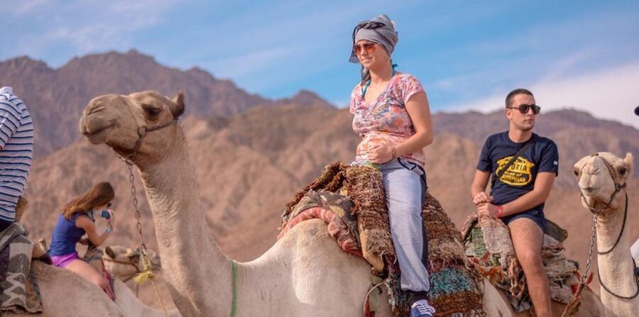 Sharm El Sheikh: Quad bike, Safari, Camel With Dinner & Show - Is $20 good value?
